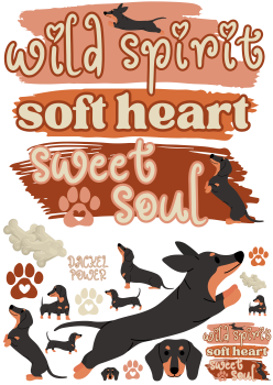 Bügelbild wild spirit soft heart wild soul